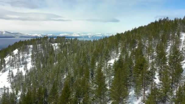 Incrível Aéreo Revelar Imagens Lake Tahoe Eua — Vídeo de Stock