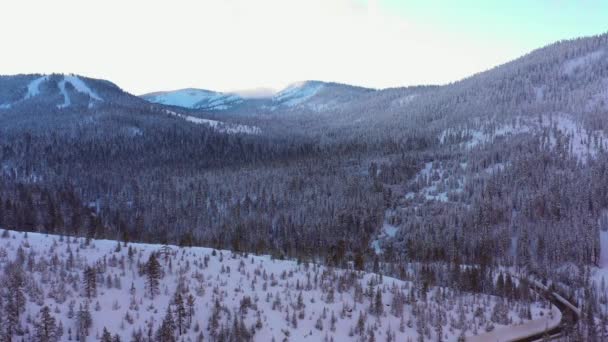 Eldorado National Forest Antenn Lager Video — Stockvideo