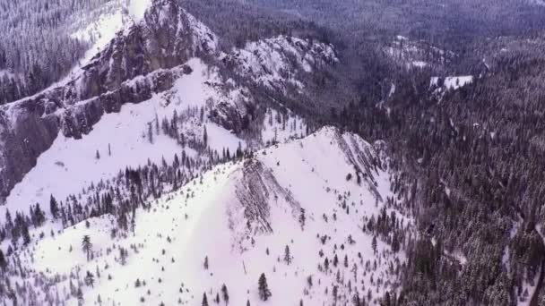 Eldorado National Forest Califórnia Drone Aéreo Vídeo — Vídeo de Stock