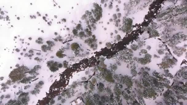 Río Bosque Cubierto Nieve — Vídeo de stock
