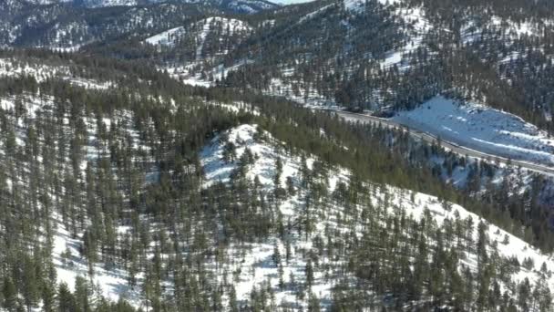 Montagnes Neige Arbres Drone Aérien Vidéo — Video