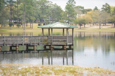Göl doğa sahnesinde Gazebo