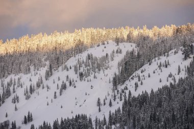 Karlı dağlar üzerinde Gündoğumu Lake Tahoe El Dorado Ulusal fores