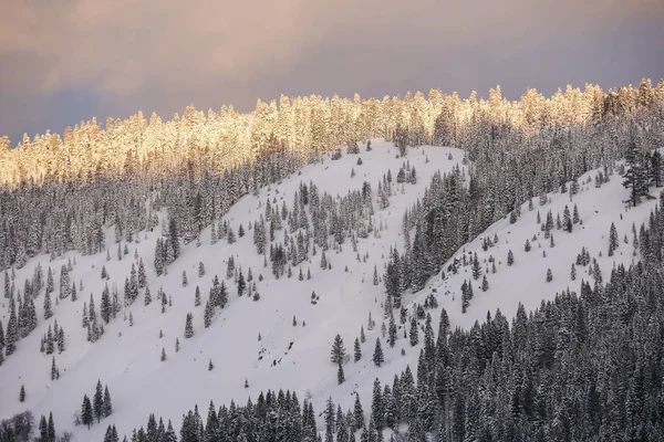 Sonnenaufgang über den schneebedeckten Bergen See tahoe el dorado national fores — Stockfoto
