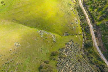 Doğa, Kaliforniya 'da yeşil dağlar.