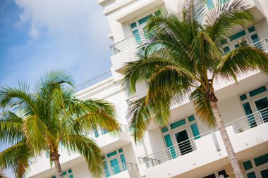 Miami avuç içi ve mimari stok görüntü
