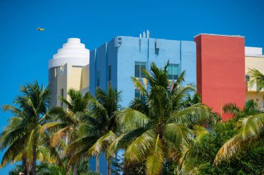 Arka palmiye ağaçları ve uçak ile Renkli Miami mimarisi