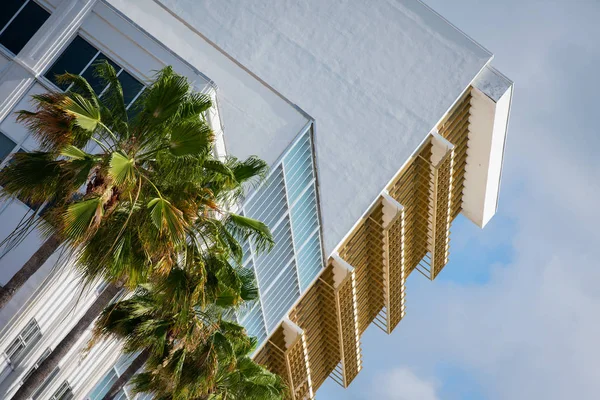 Palmeiras e edifícios históricos Miami Beach imagem stock cena — Fotografia de Stock