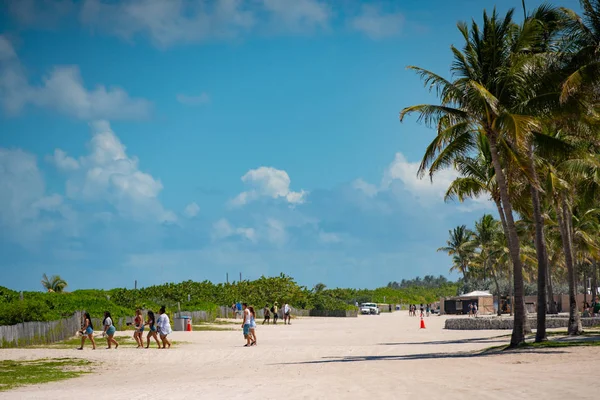 迈阿密海滩游客在沙滩和棕榈树上行走 — 图库照片