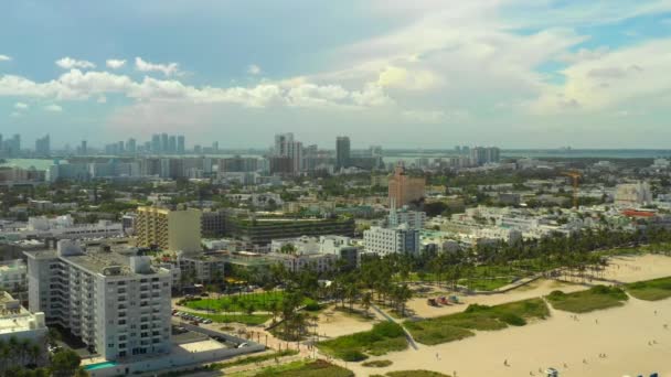 Approaching Palms Miami — Stock Video