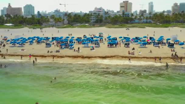 ビーチでマイアミ株式航空写真の体 — ストック動画