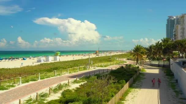 Stok Video Miami Beach Sahne 2019 — Stok video