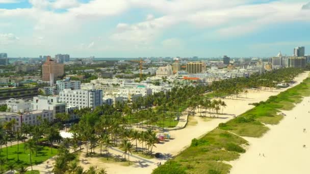 Letecký Obraz Parku Miami Beach — Stock video