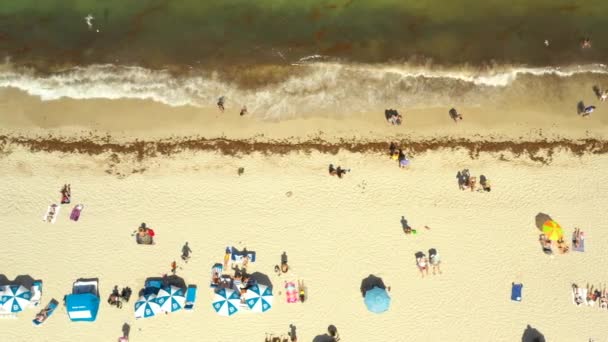 Aerial Napowietrznych Strzał Zatłoczonej Plaży Miami — Wideo stockowe