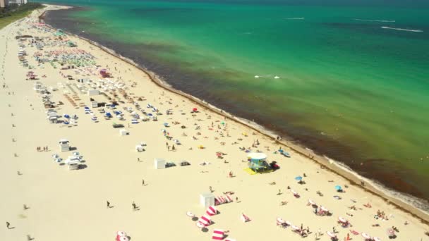 Aerial Miami Persone Sulla Spiaggia — Video Stock