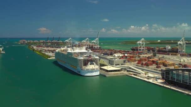 Antenne Far Shot Symphony Seas Bij Port Miami — Stockvideo