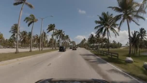 Rijden Door Haulover Collins Avenue Miami Beach — Stockvideo