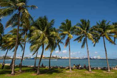 Yaz körfeztarafından Miami Downtown Bayfront park vibes