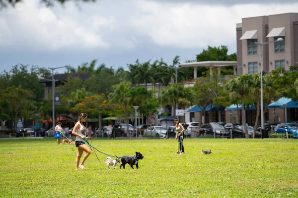 Frauen, die Hunde im Park ausführen — Stockfoto