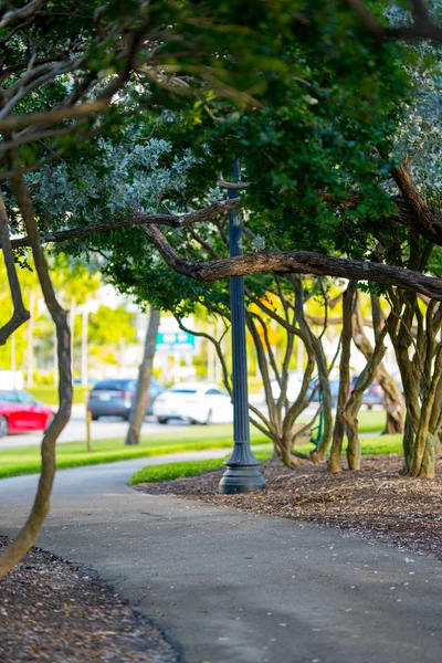 Passarela de fitness com árvores salientes para sombra — Fotografia de Stock