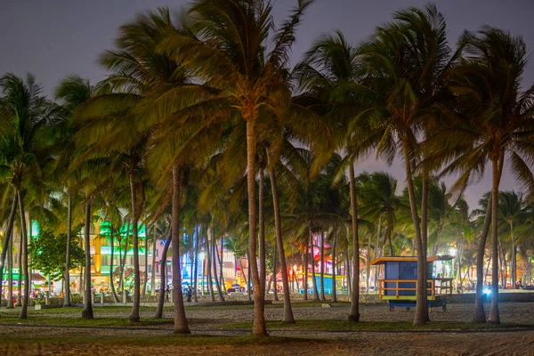 ネオンライトとヤシの木マイアミビーチオーシャンドライブ — ストック写真