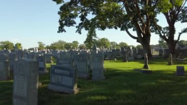 Montefiore Mezarlığı Pennsylvania Abd 4k