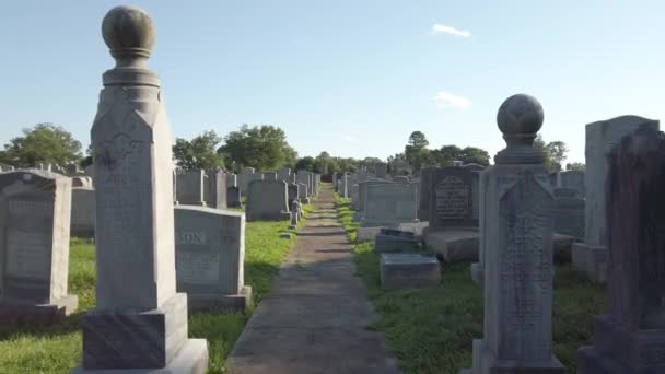 Fuß Durch Montefiore Friedhof Jenkintown Usa — Stockvideo