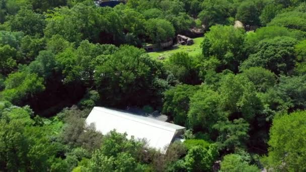Aerials Bronzcsövekkel Várja Vendégeinket Zoo Usa — Stock videók