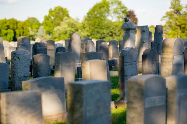 Grafstenen op een begraafplaats schaduwen van bomen — Stockfoto