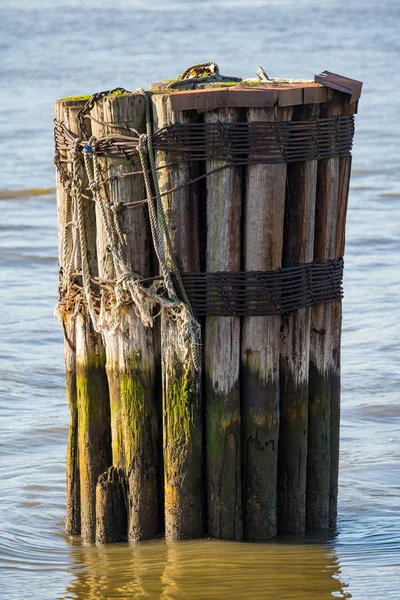 Old wooden pier remains in New York — Stock Photo, Image