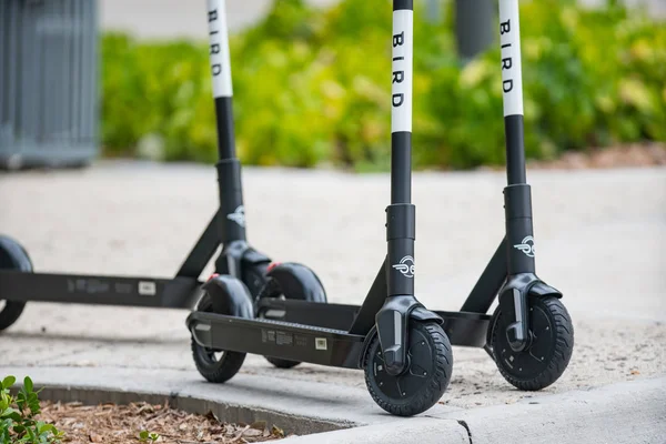 Group of Bird Scooters available for rent through smartphone app — Stock Photo, Image