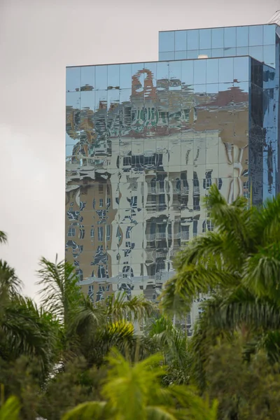 Стеклянное офисное здание с пальмами на переднем плане — стоковое фото