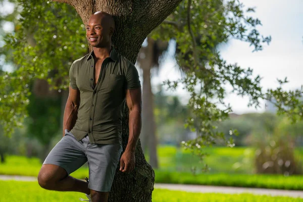 Snygg afroamerikansk modell lutad mot ett träd i parken Li — Stockfoto