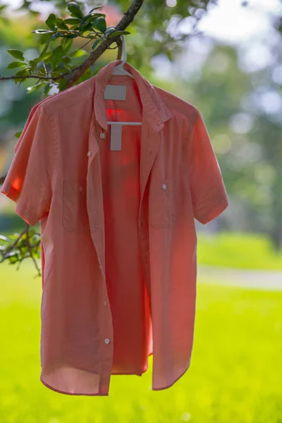 Camisa de botón rosa colgando de una rama de árbol en una percha — Foto de Stock