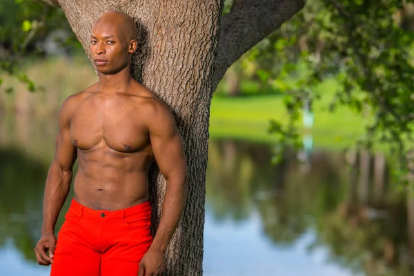 Retrato de un modelo de fitness sin camisa posando por un árbol en el pa —  Fotos de Stock