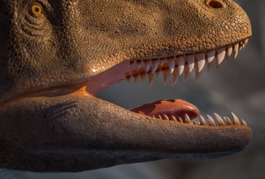 T rex dinozor dişleri keskin ve avlanmaya hazır
