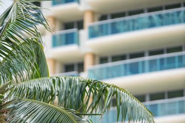 Miami Beach Deco mimarisi ve tropikal palmiye ağacı yaprakları
