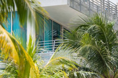 Miami Beach Deco mimarisi ve tropikal palmiye ağacı yaprakları