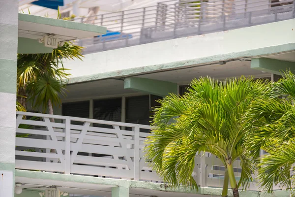 Miami Beach Deco architektury i tropikalnych liści palmy — Zdjęcie stockowe