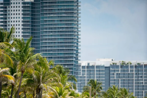 Palmeras y condominios en Miami disparados con una lente de teleobjetivo — Foto de Stock