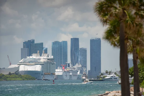 Cruise schepen in de haven van Miami met het centrum op de achtergrond — Stockfoto