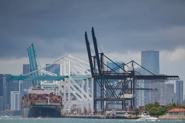 MSC Charleston på port Miami — Stockfoto