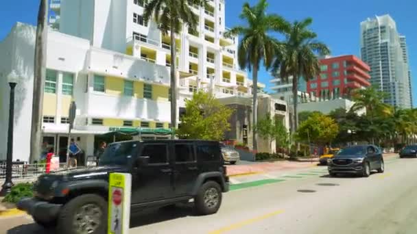 Stanton Hotel Miami Beach Video — Stock video