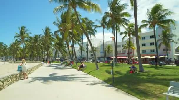 Ocean Drive Miami Beach Otelleri — Stok video