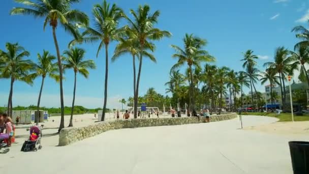 迈阿密肌肉海滩 — 图库视频影像