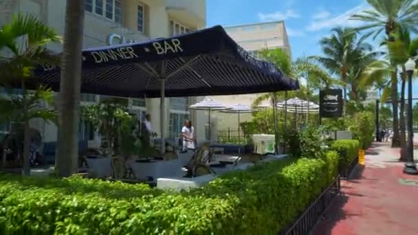 Chelsea Hotel Miami Beach Washington Avenue Motion Footage — Stock Video