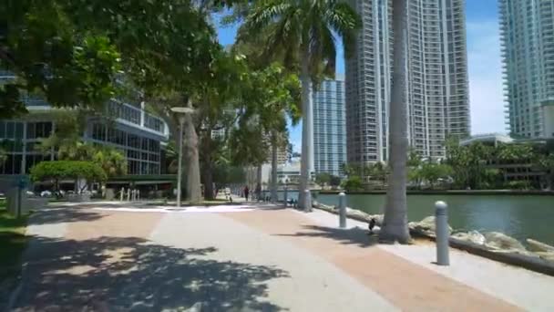 Motion Footage Brickell River Promenadspår 60P — Stockvideo