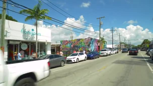 Miami Estados Unidos Julio 2019 Imágenes Movimiento Tierra Wynwood Miami — Vídeo de stock