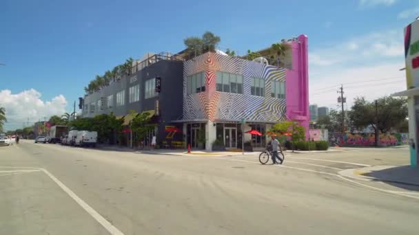 Miami Verenigde Staten Juli 2019 Grond Beweging Beelden Van Wynwood — Stockvideo