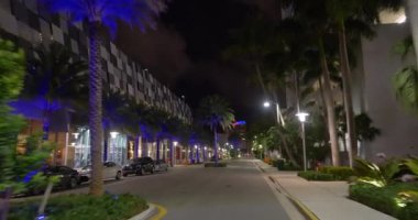 Neon mavi palmiye ağaçları ile gece Miami Beach perakende mağazaları